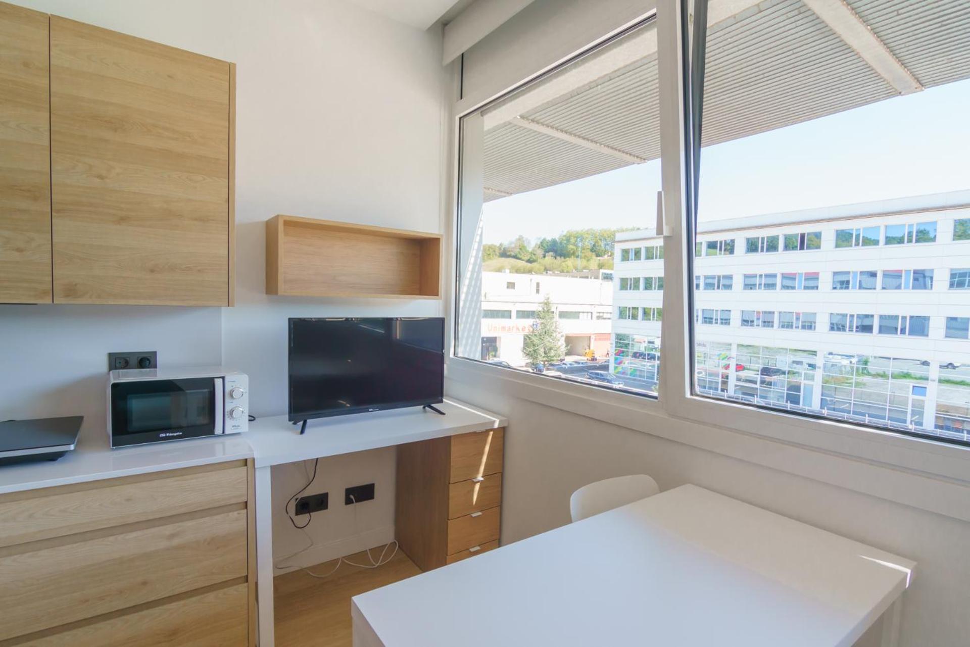 Pillotegi Parking Gratuito Apartment San Sebastian